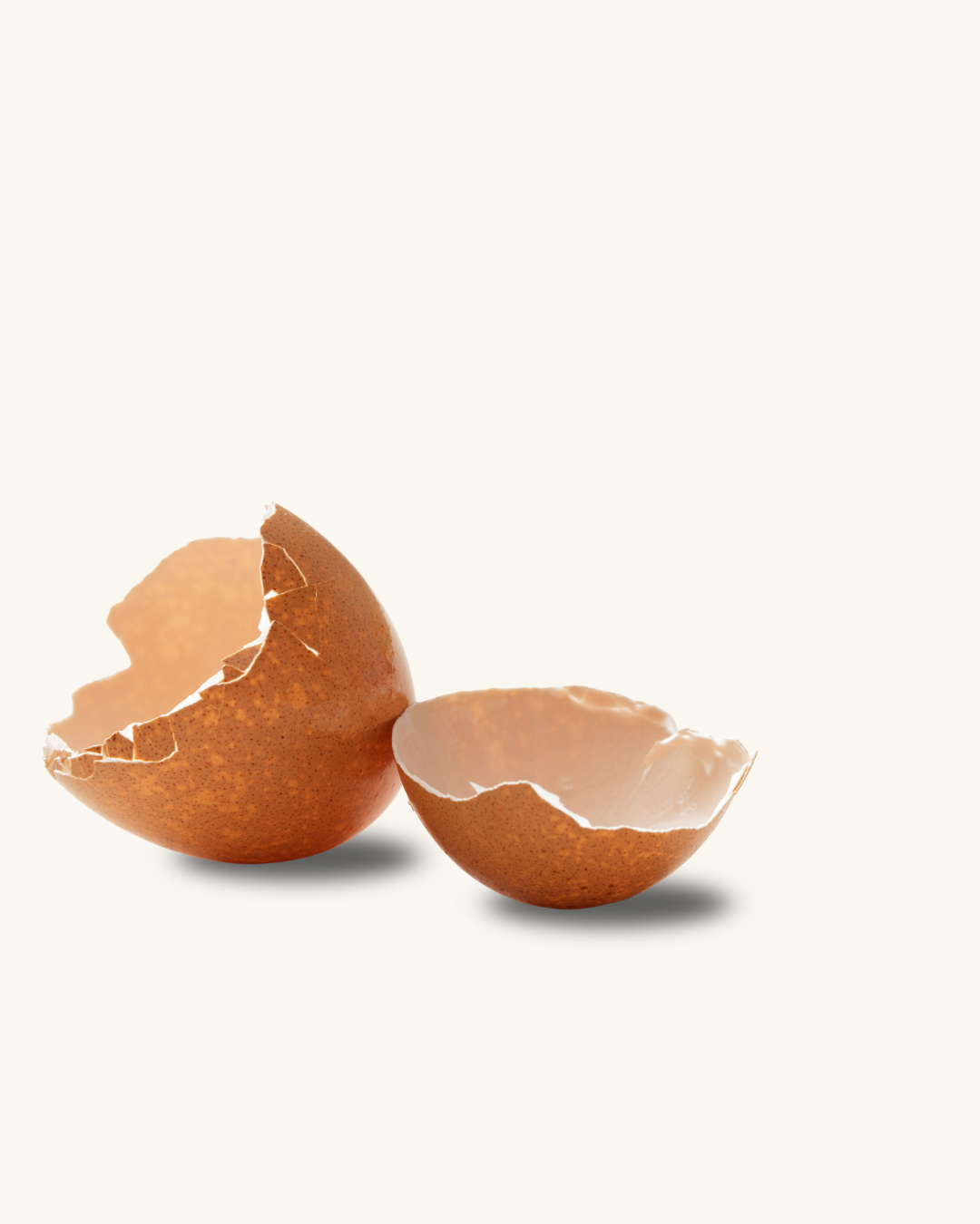 🥚 5 Creative Ways to Reuse or Upcycle Eggshells