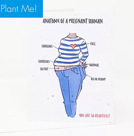 Anatomie | Carte de graines