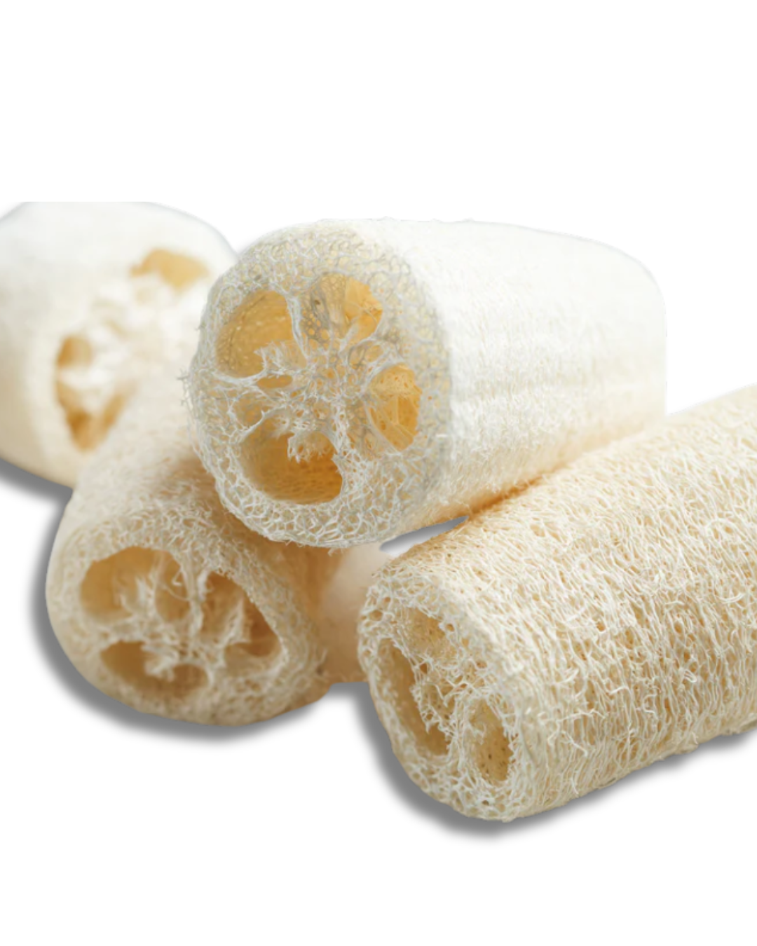 Luffa Sponge flat