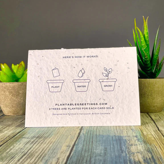 Félicitations | Carte de vœux à planter