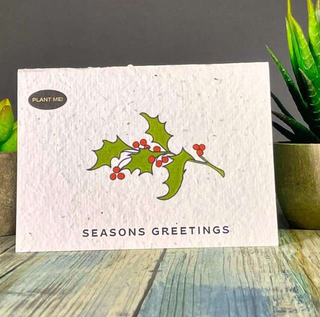 Cartes de Noël | Cartes de vœux à planter – Houx
