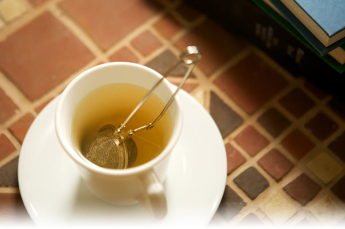 Mesh Spring Tea/Herb Infuser