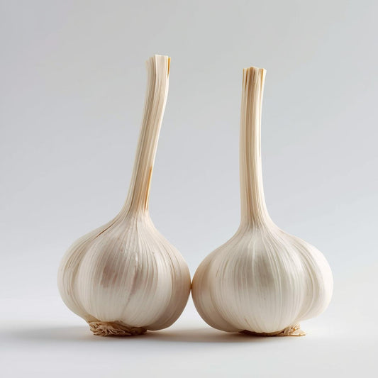 2 garlic bulbs sitting on a grey backdrop