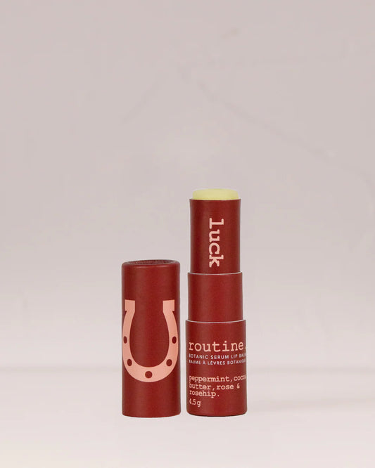 Regular Size Lip Chap 4.5g