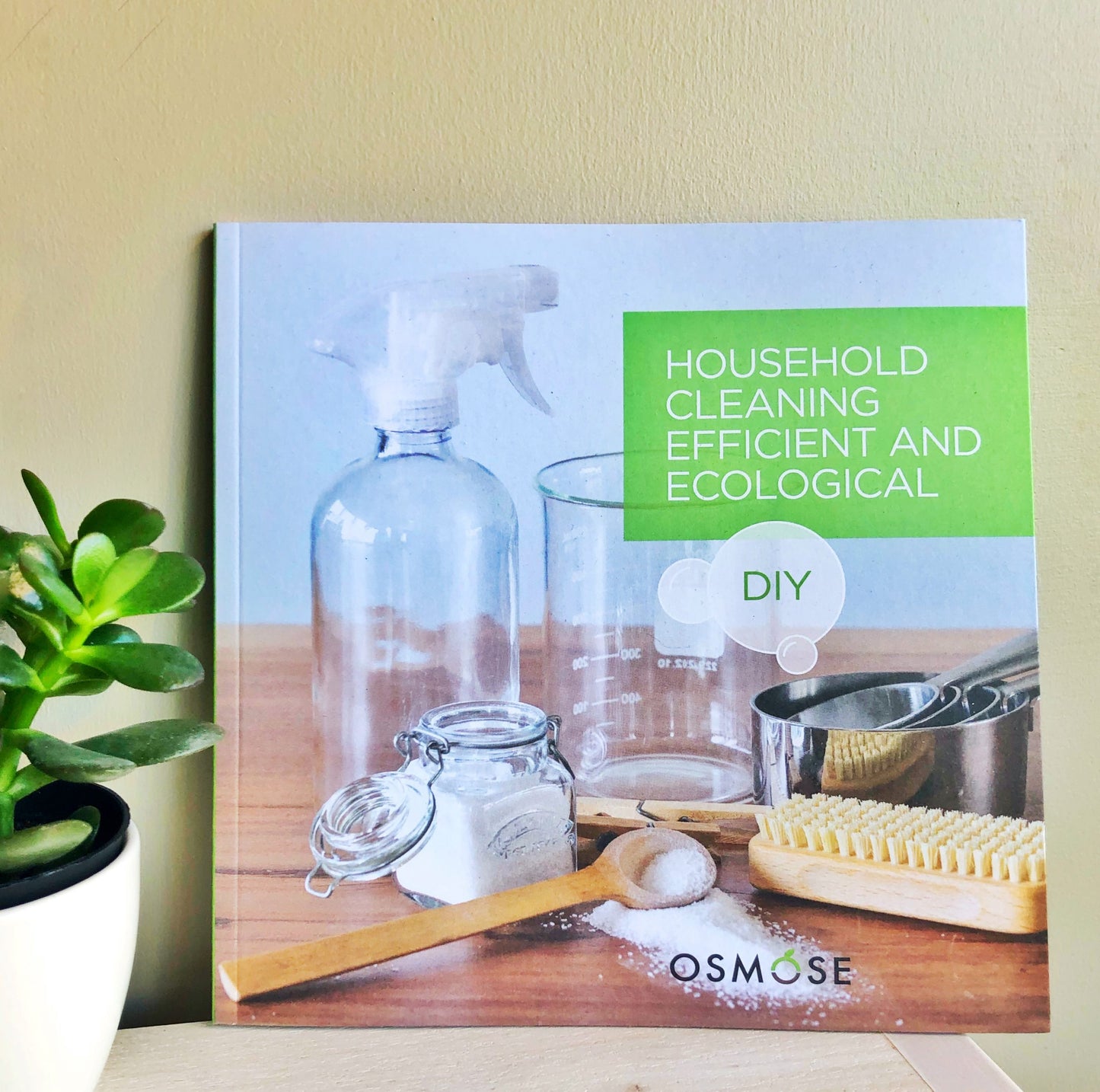 Household Cleaning Book