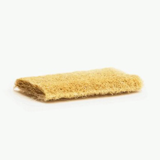 Luffa Sponge flat